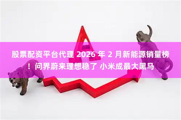 股票配资平台代理 2026 年 2 月新能源销量榜！问界蔚来理想稳了 小米成最大黑马