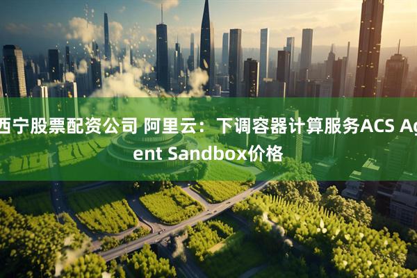 西宁股票配资公司 阿里云：下调容器计算服务ACS Agent Sandbox价格
